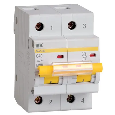 Siguranta automata VA47-100 2P 40A 10kA curba C