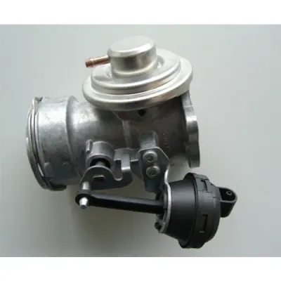 Supapa EGR WAHLER 7372D