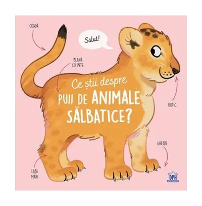 Ce știi despre puii de animale sălbatice? - Hardcover - Olivier Le Gall
