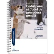 Codul penal si Codul de procedura penala - actualizate la 20 septembrie 2024