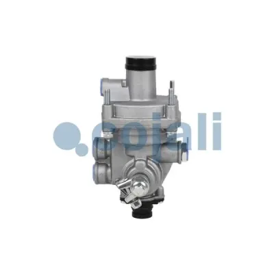 Releu, Alb Cojali 2220312