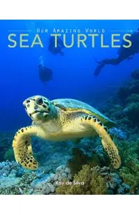 Sea Turtles: Amazing Pictures & Fun Facts on Animals in Nature