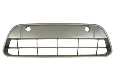 Grila bara Fata platina potrivit FORD TOURNEO CONNECT, TRANSIT CONNECT, TRANSIT TOURNEO 06.02-08.14 06.09-09.13