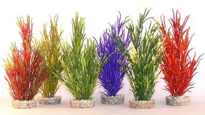 Sydeco Planta Sea Grass Medium 20 Cm 349613