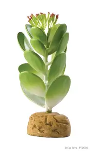Exo Terra Plante Jade Cactus PT2984