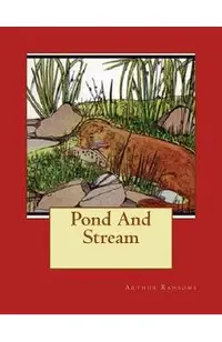 Pond And Stream