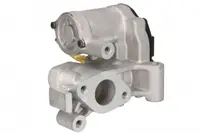 Supapa Egr Potrivit Rvi Mascott; Nissan Interstar; Opel Movano; Renault Master Ii 3.0d 10.03-