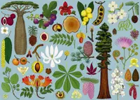 Puzzle 1000 de piese - Arboretum