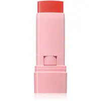 Astra Make-up IDENTISTICK blush cremos stick 01 - Peach Persona 1 buc