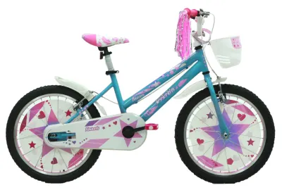 Bicicleta copii Vision Faworis, culoare turcoaz roz, roata 20 , otel