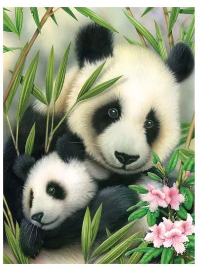 Set de pictură cu vopsele acrilice Royal - Panda și pui, 22 x 30 cm