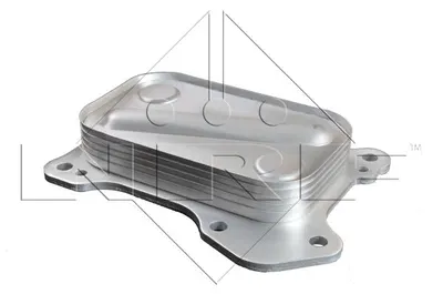 Termoflot Radiator Ulei (70x24x114) Fiat 500, 500 C, Doblo, Doblo Cargo, Fiorino, Grande Punto, Idea, Palio, Panda, Punto, Punto Evo, Qubo; Lancia Musa, Ypsilon; Opel Agila, Combo, Combo Tour, Corsa C