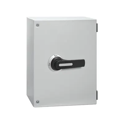 Three-Pole Line Changeover Switches I-0-Ii in Iec/en Ip65 Metal Enclosure, 315a