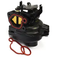 Carburator Briggs - Stratton 799584