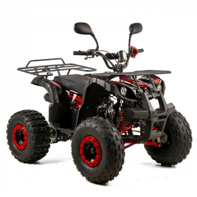 Atv copii XTR 006 Phyton, roti 8 inch, 110cc, 4 timpi, 1+1, pornire electrica, culoare negru rosu