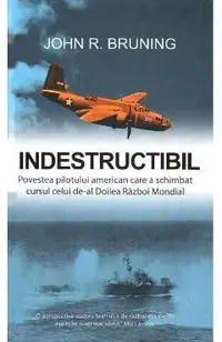 Indestructibil