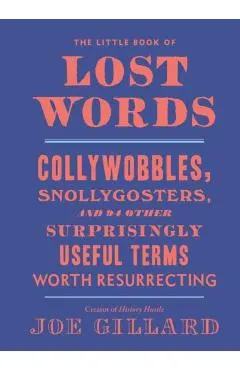 Little Book of Lost Words