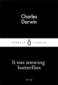 It Was Snowing Butterflies