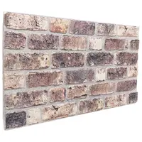 vidaXL Panouri de perete 10 buc. 100 x 50 cm Maro închis Spumă EPS