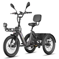 Tricicletă Electrică F20 Mate II 48V 21Ah Frâne Hidraulice Coșuri 180kg