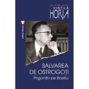 Salvarea de ostrogoti. Prigoniti-l pe Boetiu
