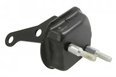 Bucsa cauciuc brat suspensie spate (Fata) Dreapta potrivit CITROEN XANTIA, XSARA, ZX; PEUGEOT 306 CABRIOLET-LIMUZINA 03.91-08.05
