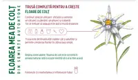 Trusa completa pentru a creste - Floare de colt