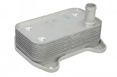 Radiator Ulei Potrivit Mercedes C (cl203), C T-Model (s203), C (w203), Clk (c209), E T-Model (s211), E (w211), G (w461), G (w463), S (w220) 2.7d 3.0d 3.2d 08.99-07.09