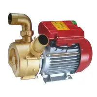 Electropompa BEM 50 pentru transvazare vin si lichide alimentare - Default Title