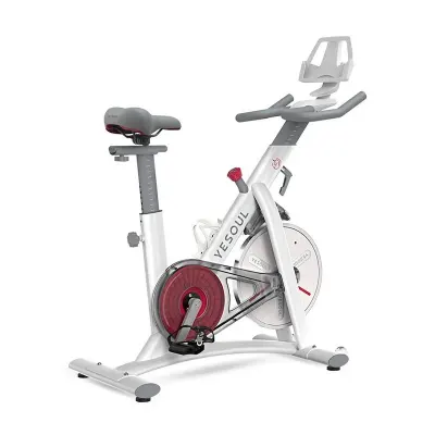 Bicicleta fitness YESOUL Spinning Bike S3, White - Default Title
