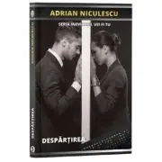 Despartirea. Seria Inevitabil vei fi tu
