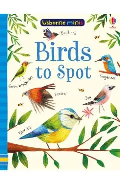 Birds to Spot