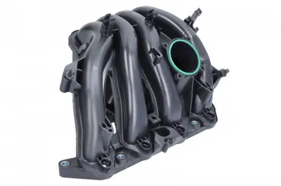 Colector Admisiune Potrivit Seat Ibiza Iv, Ibiza Iv Sc, Toledo Iv; Skoda Fabia Ii, Rapid, Roomster; Vw Jetta Iv, Polo V 1.6 1.6lpg 09.06-05.22