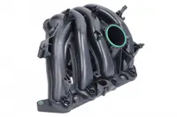 Colector Admisiune Potrivit Seat Ibiza Iv, Ibiza Iv Sc, Toledo Iv; Skoda Fabia Ii, Rapid, Roomster; Vw Jetta Iv, Polo V 1.6 1.6lpg 09.06-05.22