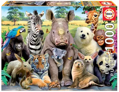Puzzle cu 1000 de piese