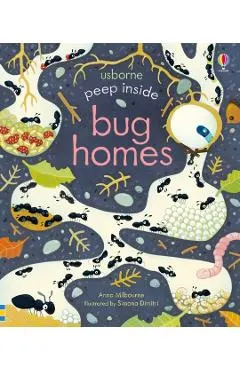 Peep Inside Bug Homes