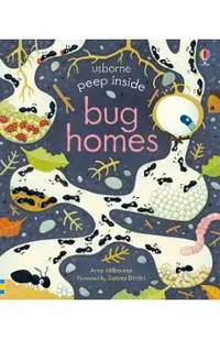 Peep Inside Bug Homes