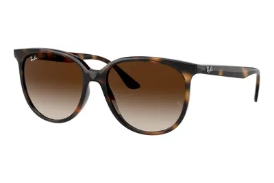 Ray-Ban RB4378 710/13