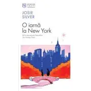 O iarna la New York