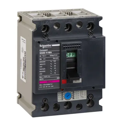 Intreruptor miniatura 50A NS80H