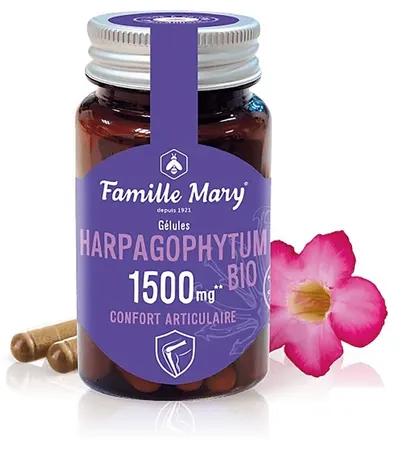 Bio gheara diavolului, 60 capsule, Famille Mary