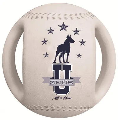 Zeus Minge Baseball