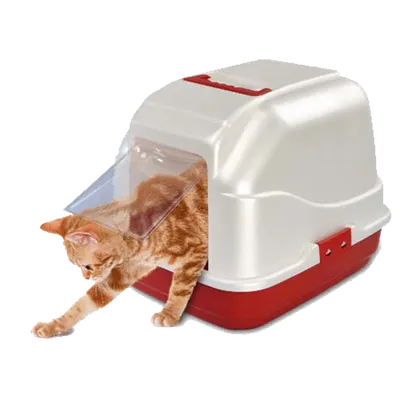 Litiera pentru pisici My Cat Mixt 50x40x40 cm
