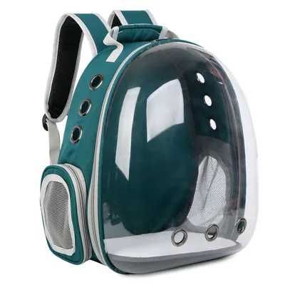 Rucsac Pentru Transport Pisici, Verde, Transparent, 31x42x28 cm