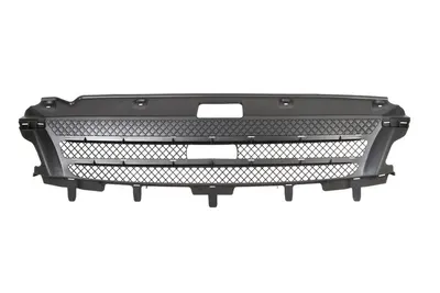 Grila radiator potrivit IVECO DAILY IV 2.3D/3.0CNG/3.0D 2006-2011 pana in 2011 - (partea interioara, negru)