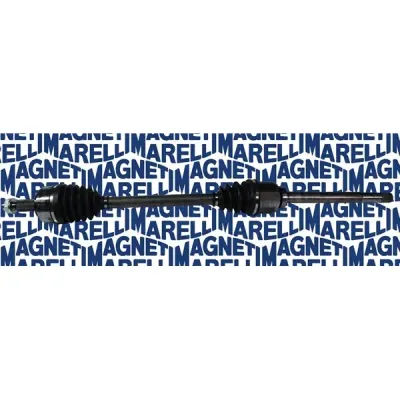 Planetara MAGNETI MARELLI 302004190062