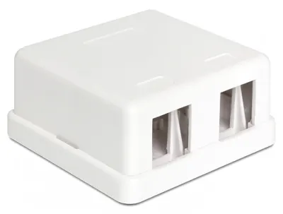 Carcasa Keystone perete 2 Porturi alb, Delock 86207