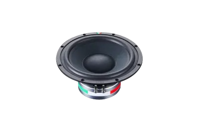 Subwoofer Auto Steg SS10, 250MM, 250W, 4Ω, 1 Bucata