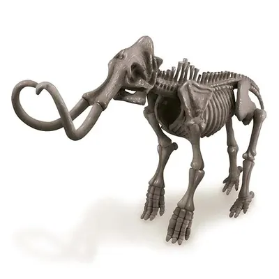 Set de joaca - Sapa si descopera dinozauri - Mamut