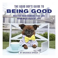 Good Boy's Guide to Being Good